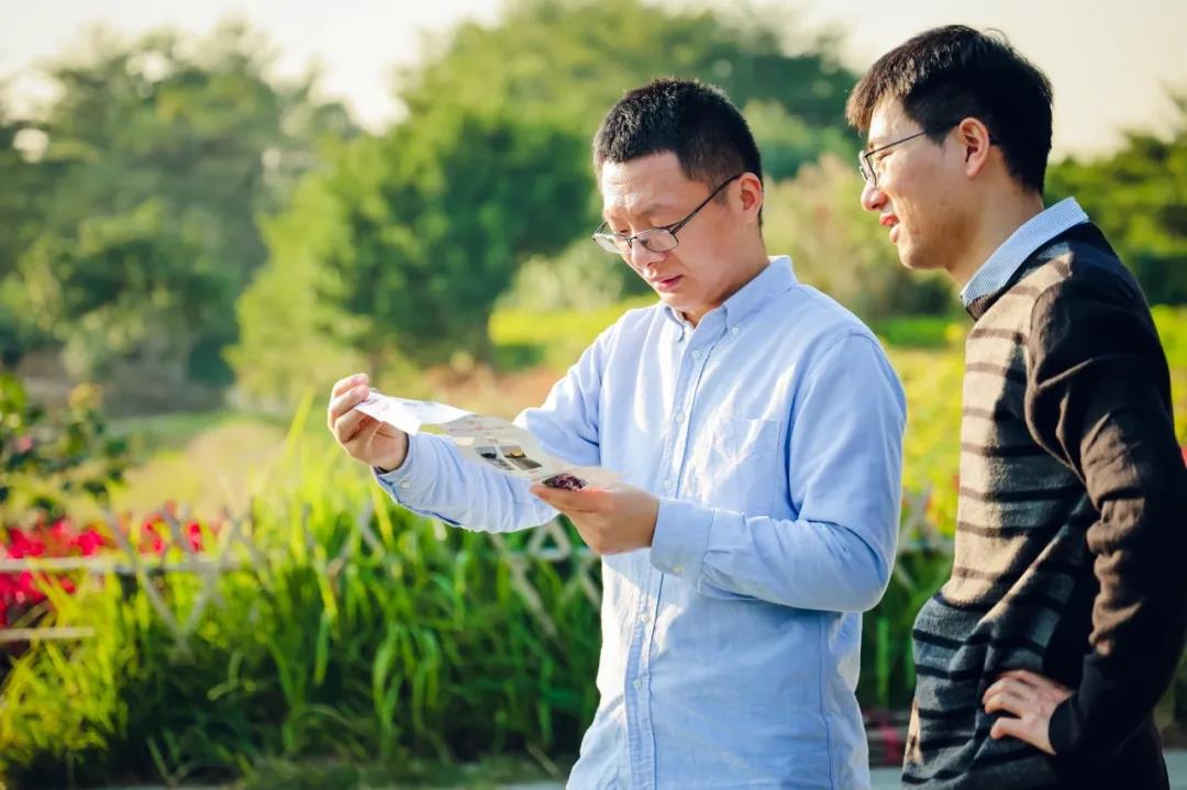 聚力迎新 奮進2022——集團總部開展團建(健走)活動 聚力迎新 奮進2022——集團總部開展團建(健走)活動